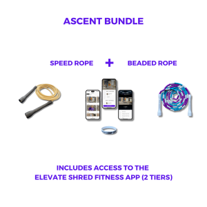 Ascent Beginner Bundel